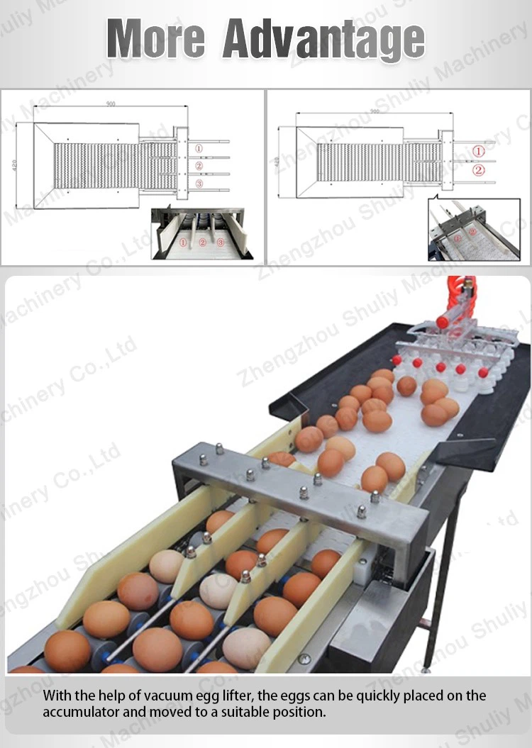 egg sorting machine upgrade egg sorting machine upgrade