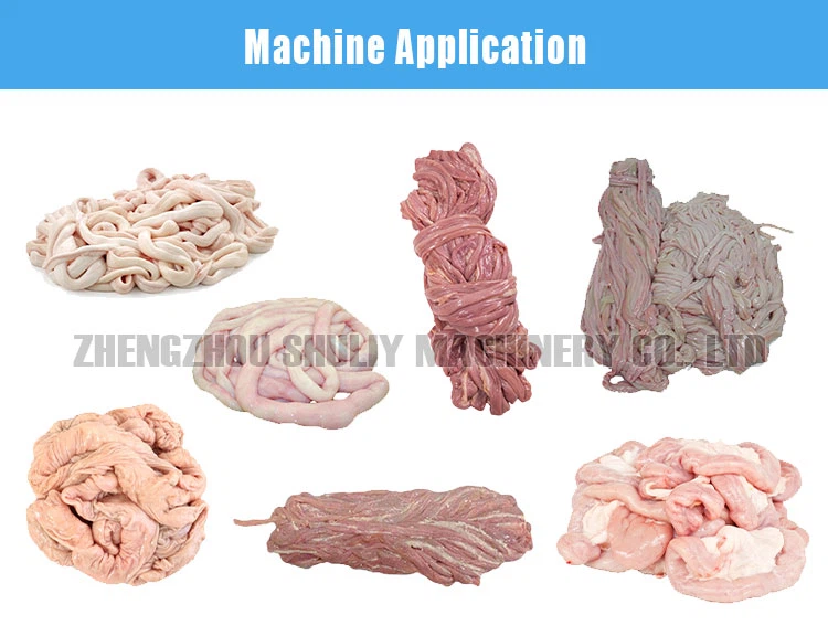 chicken intestine cleaning machine chicken intestine cleaning machine