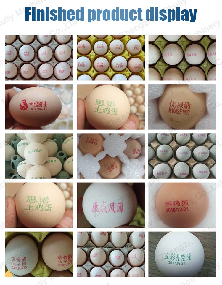 Egg coding machine Egg coding machine