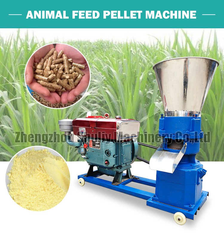 Poultry feed pellet machine Poultry feed pellet machine
