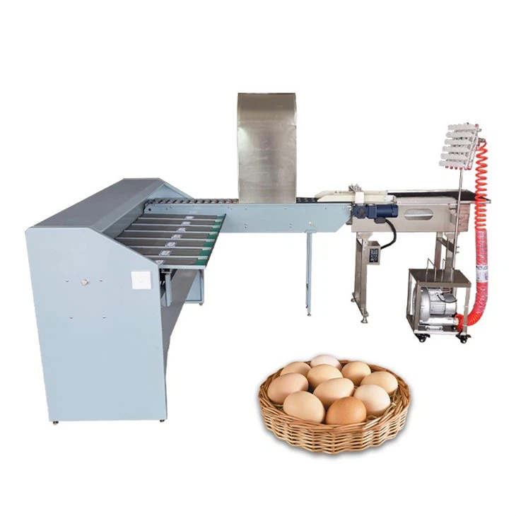 egg sorting machine