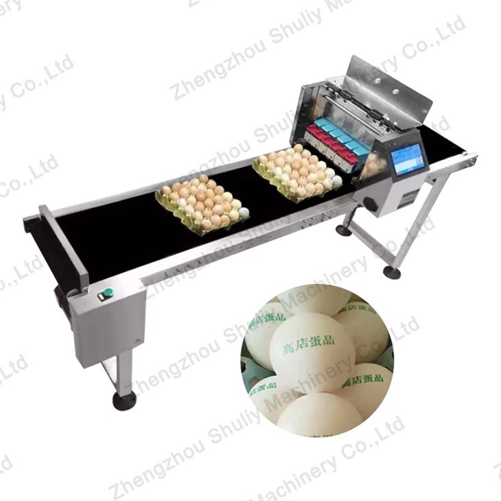 Six heads egg date printer machine (6)