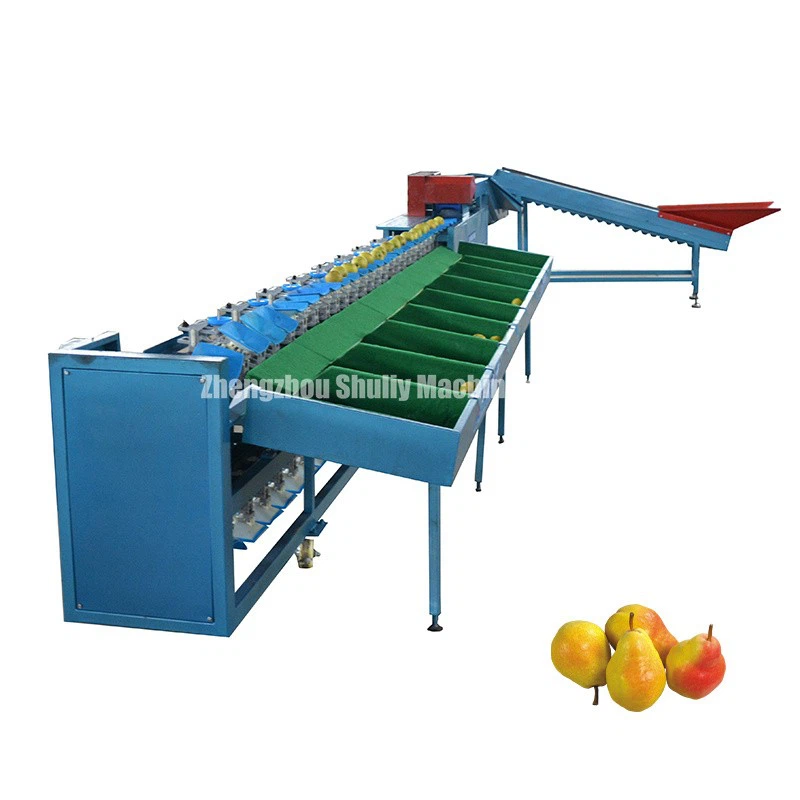 Pear Grading Machine