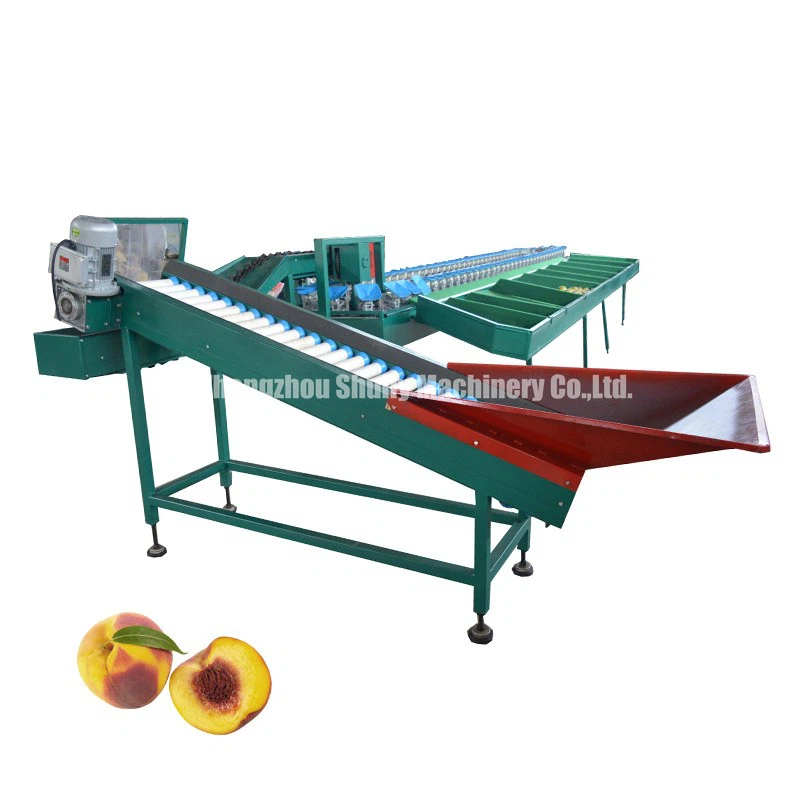 Pear Grading Machine