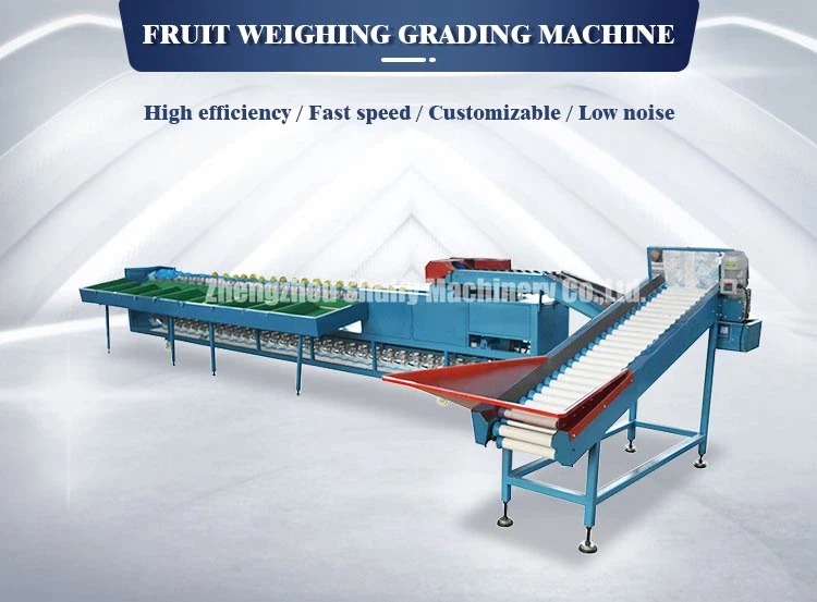 pear grading machine pear grading machine