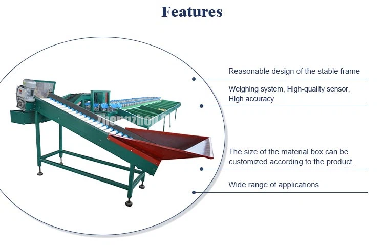 pear grading machine pear grading machine